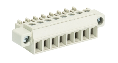 Розетка Wiecon 8813 B/2 F OB  -25.621.3253.0