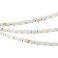 Светодиодная лента MIX 24V 14.4W/m RT-B60-10mm  Белый-MIX 2x (5060, 60 LED/m, LUX) 025213(2)