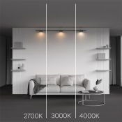 Трековый светильник 12W Белый теплый TR189-1-12W2.7K-B Зон / Zon Levity 2700К чёрный