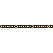 Светодиодная лента Белый дневной 2835 24V 12W/m 160Led/метр 029427(2)  RT 2-5000 4000K LUX (чёрная плата)