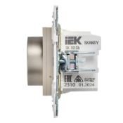Термостат электронный с подсветкой SK-T01Sh шампань SK-RT11-K37 SKANDY IEK