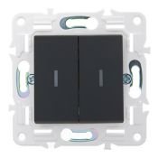 Выключатель встраиваемый двухклавишный с подсветкой IEK SKANDY SK-V20-1-10-K53 SK-V09G графит