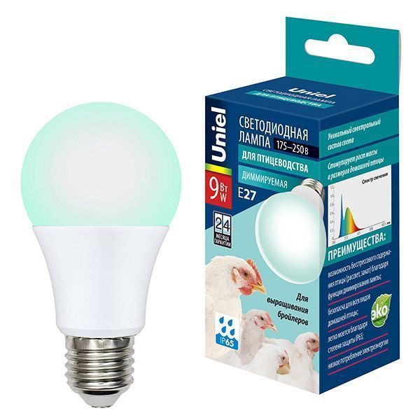 светодиодная лампа для птицеводства А60 9W UL-00003190 LED-A60-9W/SCBG/E27/FR/DIM IP65 PLO65WH диммируемая светодиодная лампа для птицеводства А60 9W UL-00003190 LED-A60-9W/SCBG/E27/FR/DIM IP65 PLO65WH диммируемая