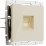 Розетка встраиваемая компьютерная  одиночная WERKEL Ethernet  RJ-45 W1181043 айвори акрил
