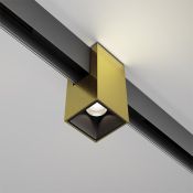 Трековый светильник  7W Белый-MIX Альфа/Alfa Exility 50deg TR121-4-7W-DS-BS на шинопровод латунь