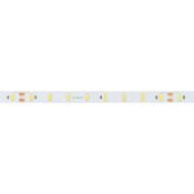 Светодиодная лента Белый дневной 5630 24V 14.4W/m  64Led/метр 036359 ULTRA-C64-10mm LUX
