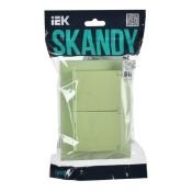 Штепсельная розетка встраиваемая двойная IEK SKANDY 16А SK-R26-16-44-K06-F SK-R12G с з/к со штороками и крышкой в сборе мятный IP44