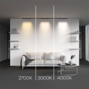 Трековый светильник 12W Белый дневной TR192-1-12W4K-B Базис / Basis Levity 4000К чёрный