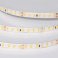 Светодиодная лента  Белый 2835 24V  5W/m 140Led/метр герм (силикон) 057514 RTW-SE-A140-8mm IP65