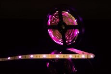 Светодиодная лента RGB 5060 12V  7.2W/m 30Led/метр 00000000078 SWG530-12-7.2-RGB