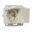 Штепсельная розетка встраиваемая двойная WERKEL 16A 250V W1172203 с/з с защит. крышками и шторками IP44 слоновая кость