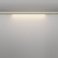 Светильник 24W Белый теплый/белый C100CL-L1000-24W3-6K-BS Базис / Basis Axity 3000/6000К латунь