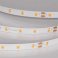 Светодиодная лента Морковный 2835 24V  4.8W/m 60Led/метр 055375 RT-A60-8mm