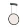 Подвесной светильник  25W Белый -MIX DENKIRS VEIL DK6605-BK 230V с ПДУ круглый черный