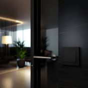 Пульт-радиопередатчик одноклавишный Base-1 без фиксации без рамки черный (карбон) Пульт-радиопередатчик одноклавишный Base-1 без фиксации без рамки черный (карбон)