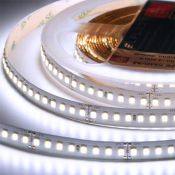Светодиодная лента Белый дневной 2835 24V 16W/m 176Led/метр ELFLED-24176-PRO140-WD 4000-4500К Светодиодная лента Белый дневной 2835 24V 16W/m 176Led/метр ELFLED-24176-PRO140-WD 4000-4500К