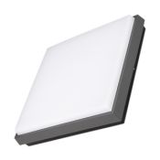 светильник  25W Белый теплый 029952 LGD-AREA-S240x240 220V IP54 квадратный накладной серый