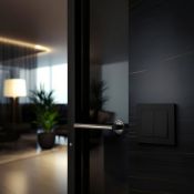 Пульт-радиопередатчик двуклавишный Base-2 без фиксации без рамки черный (карбон) Пульт-радиопередатчик двуклавишный Base-2 без фиксации без рамки черный (карбон)