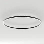 светильник 124W Белый теплый 034009(1) SP-LINE-HANG-ARC-O3535-D1500 230V IP20 фигурный черный светильник 124W Белый теплый 034009(1) SP-LINE-HANG-ARC-O3535-D1500 230V IP20 фигурный черный