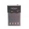 зарядное устройство GoPower iClever1000 Ni-MH/Ni-Cd 4 слота (1/15/30)