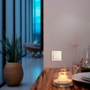 Пульт-радиопередатчик одноклавишный Base-1 без фиксации без рамки бежевый Пульт-радиопередатчик одноклавишный Base-1 без фиксации без рамки бежевый